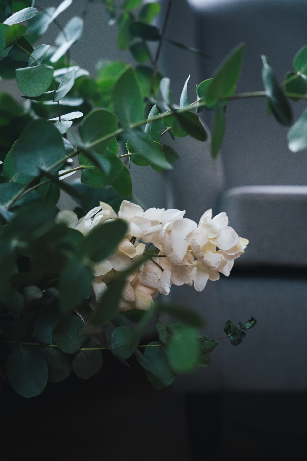 Detalle floral con eucalipto e hortensias
