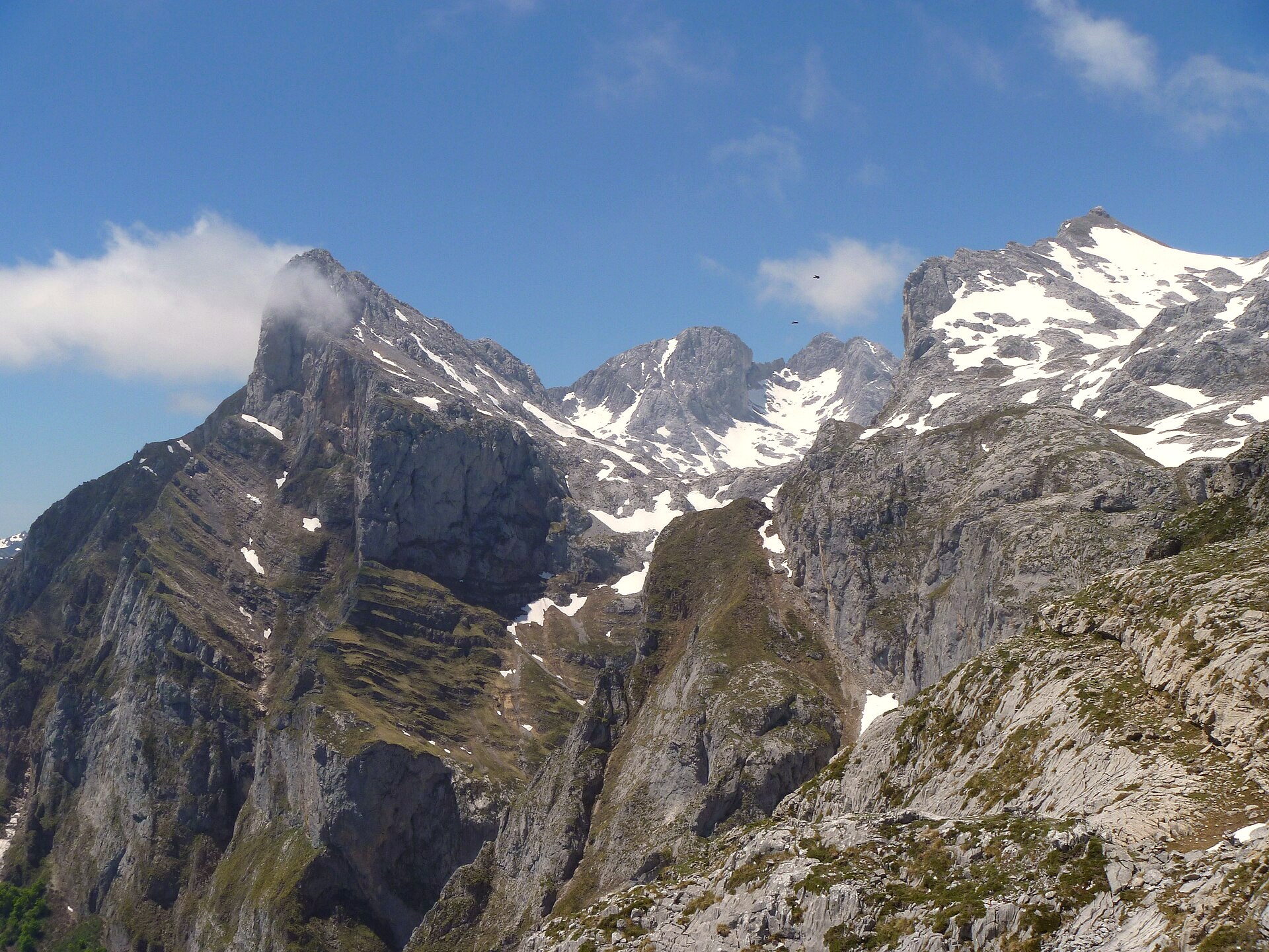 Picos de Europa